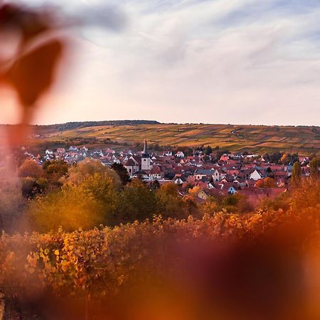 Villa Maeva - Parking, Sauna & Fitness Riquewihr Bagian luar foto