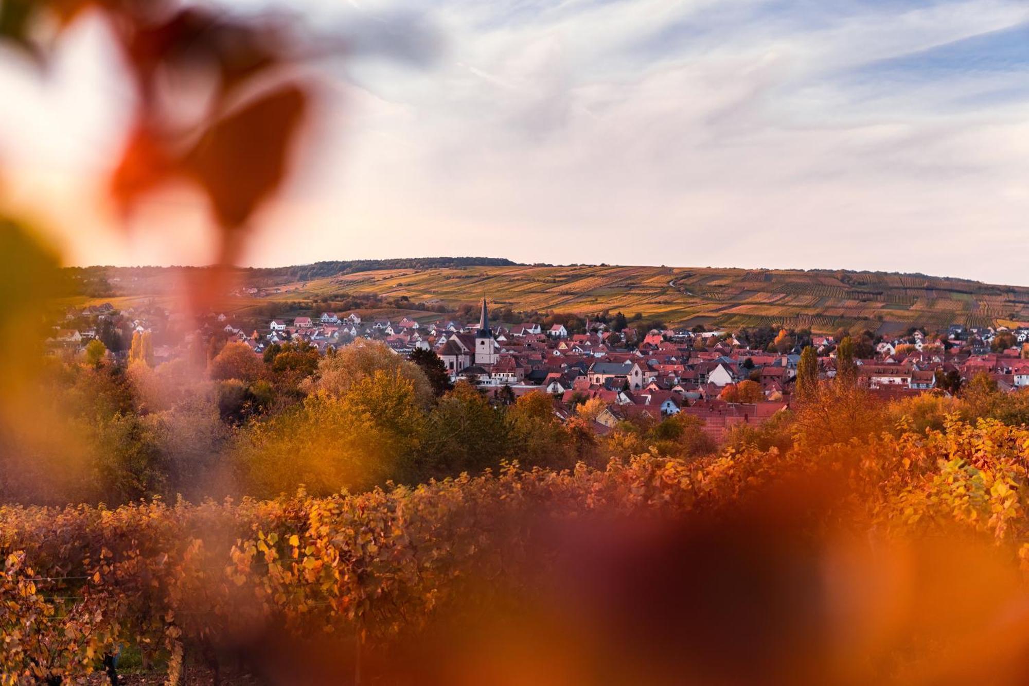 Villa Maeva - Parking, Sauna & Fitness Riquewihr Bagian luar foto